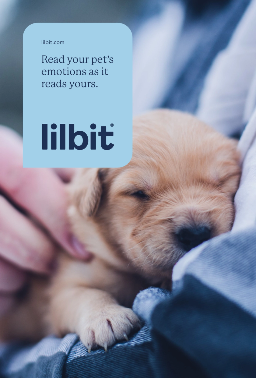 Lilbit product shot with puppy in hands