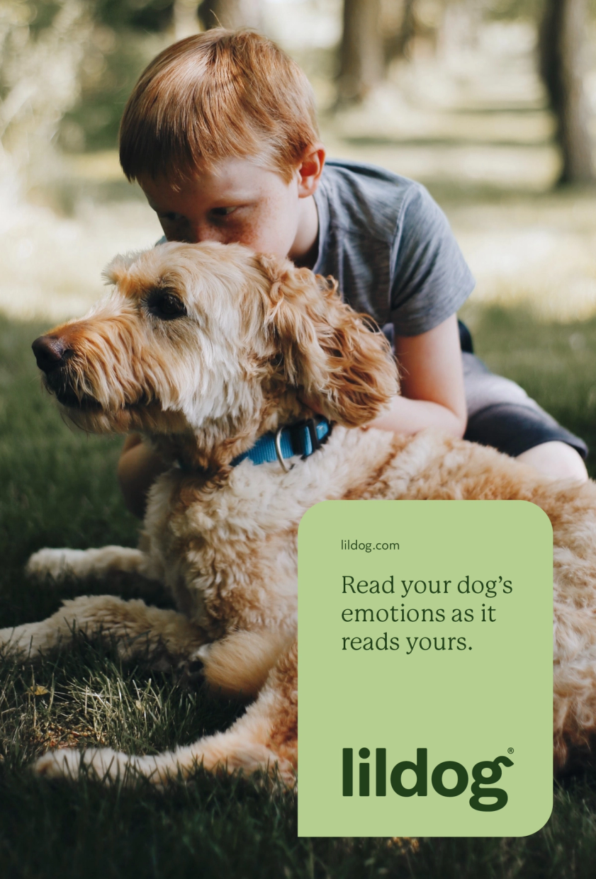 Man with dog outdoors — Lildog overlay