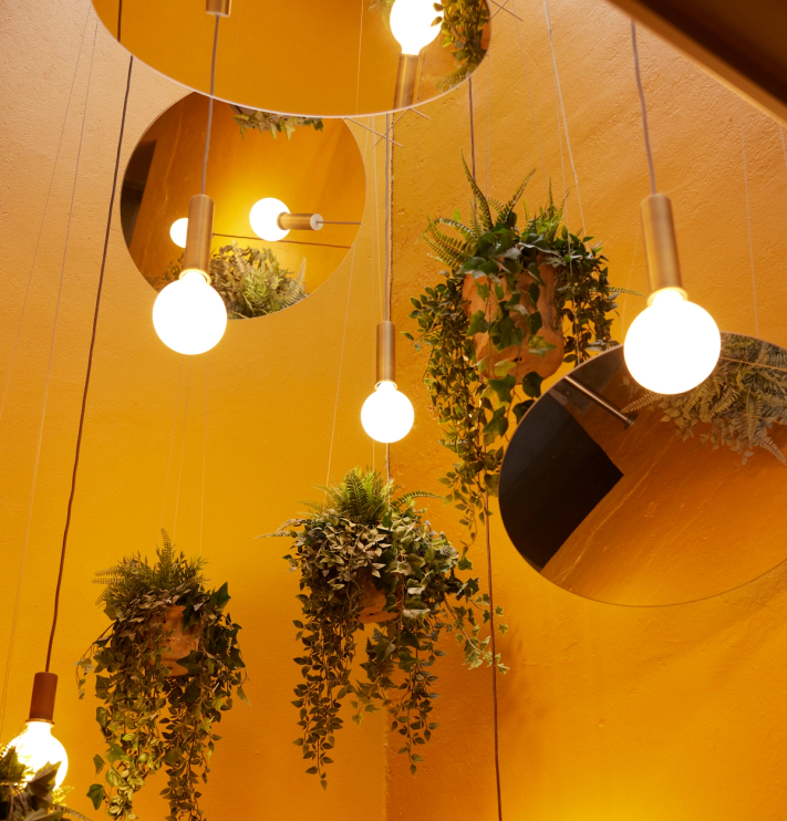 Monarchy ny visuel identitet Nonspace