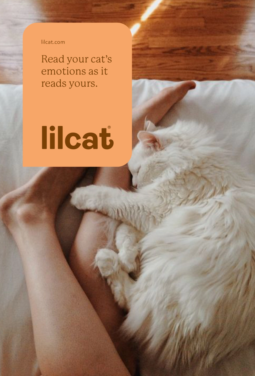 Lilcat campaign card with overlay with cat