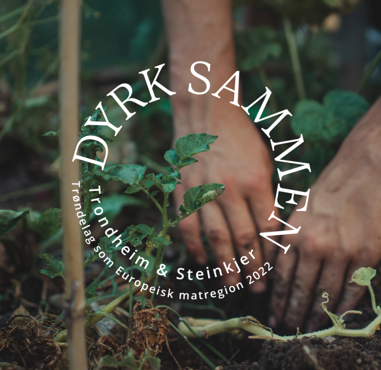 European Region of Gastronomy concept & campaign for Trondheim's Gastronomy by Nonspace