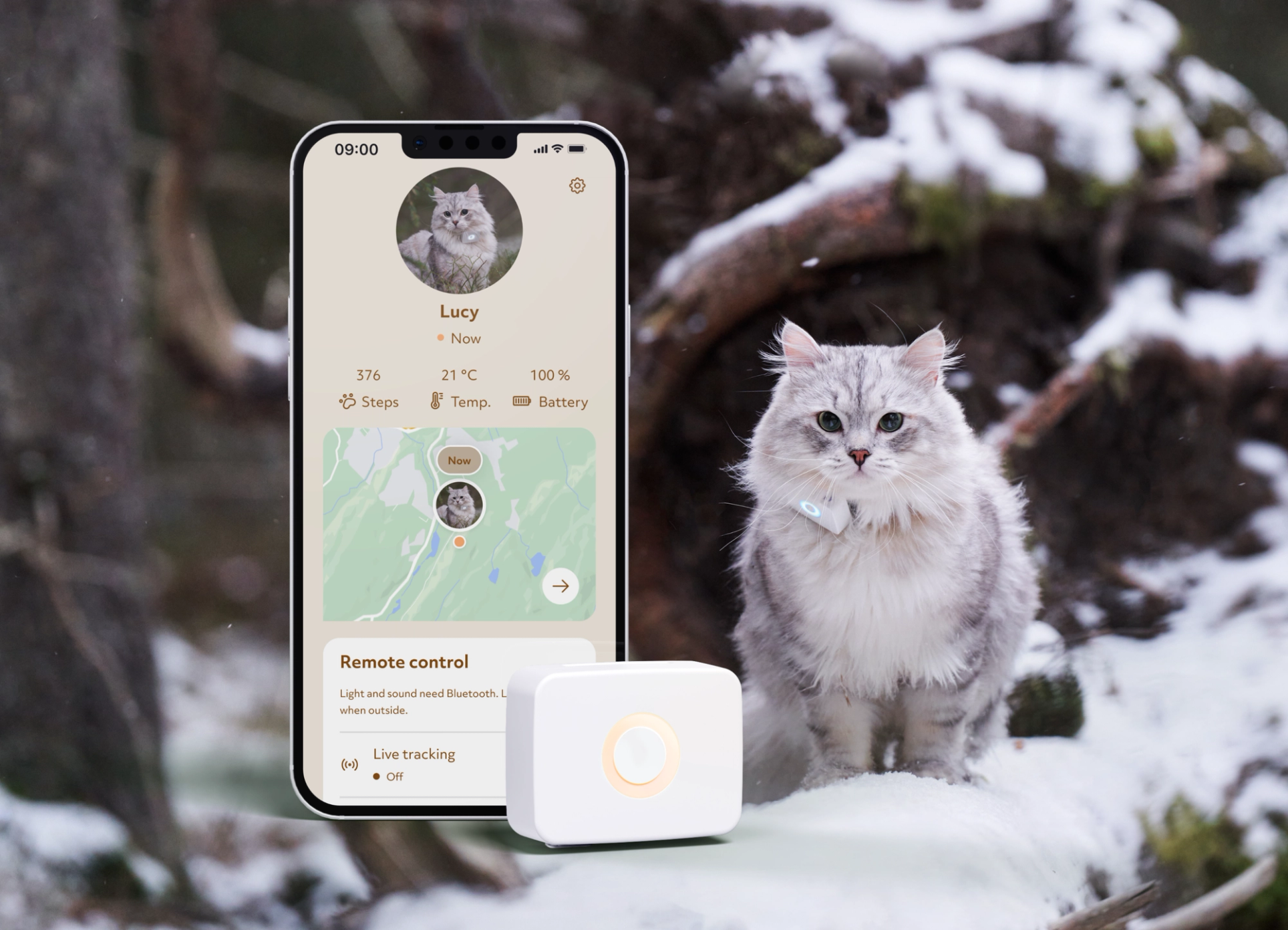 Lilcat app shown on mobile with white cat