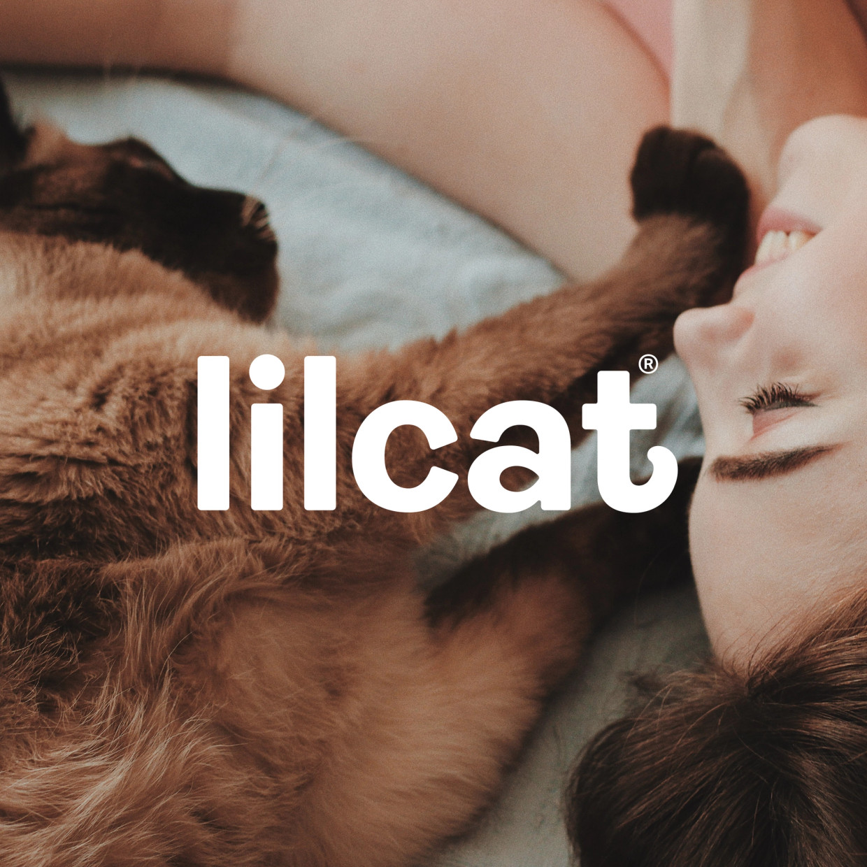 Katteeier som klemmer katten sin — Lilcat