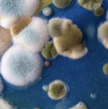 Hyfer merkevarestrategi og nettsideutvikling Nonspace