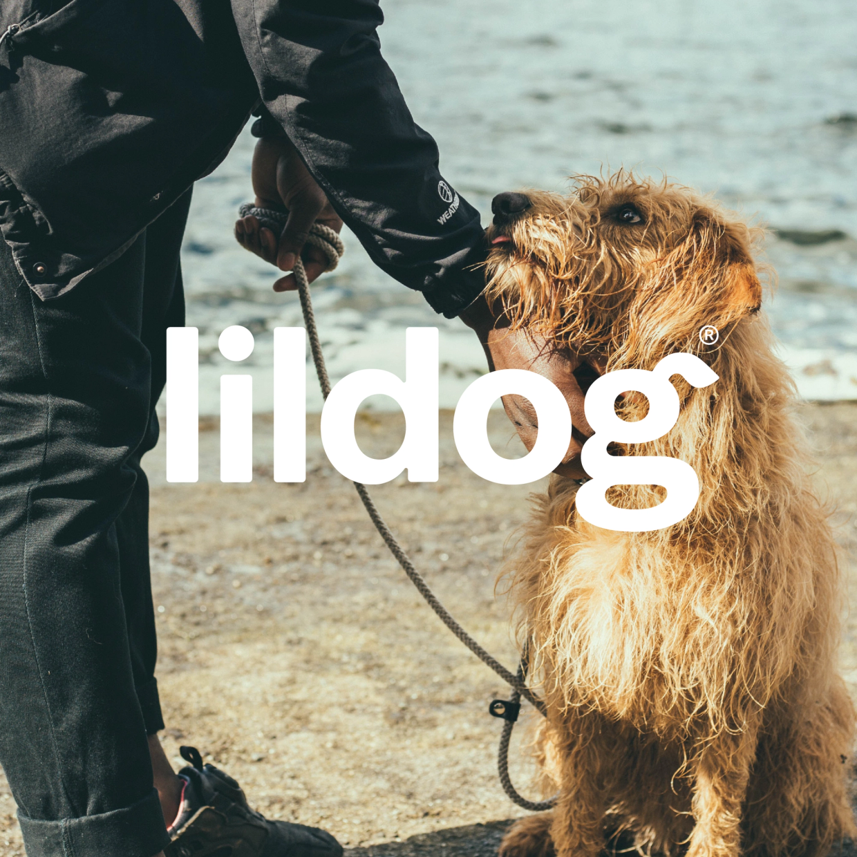 Hundeeier på stranden med hunden sin i bånd — Lildog