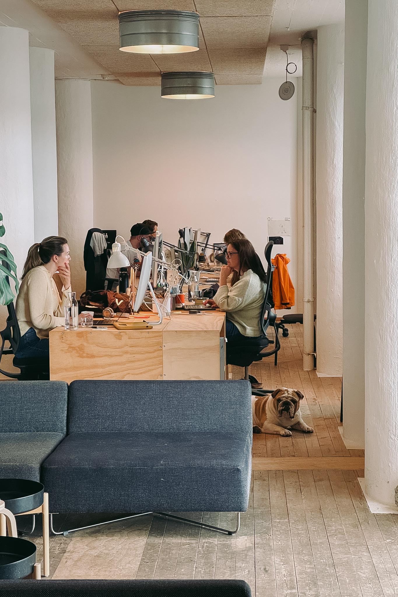 Nonspace Bergen office