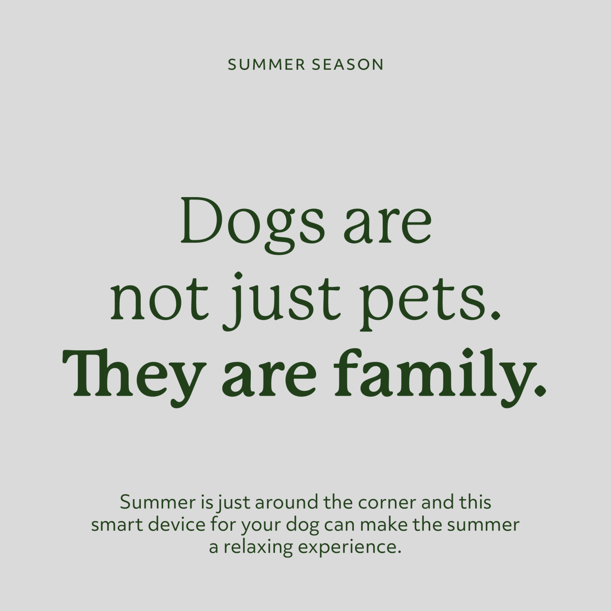 Lildog campaign card — "Dogs are not just pets. They are family."