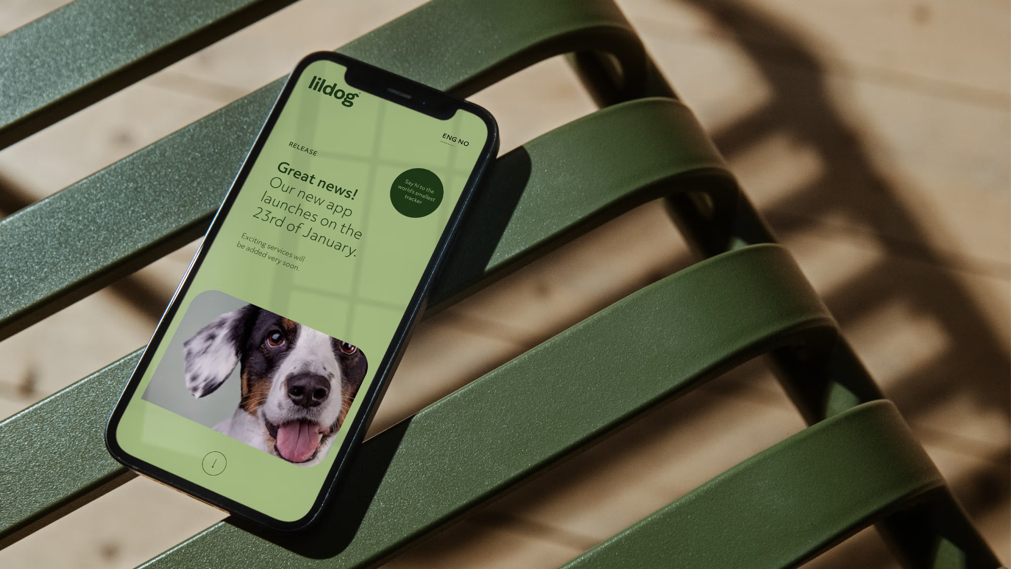 Lildog app lansering mobilskjerm på grønn benk.