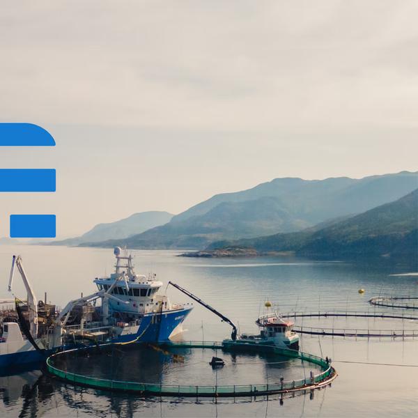 Frøy Gruppen revitalised brand identity for aquaculture and maritime services — Frøy by Nonspace