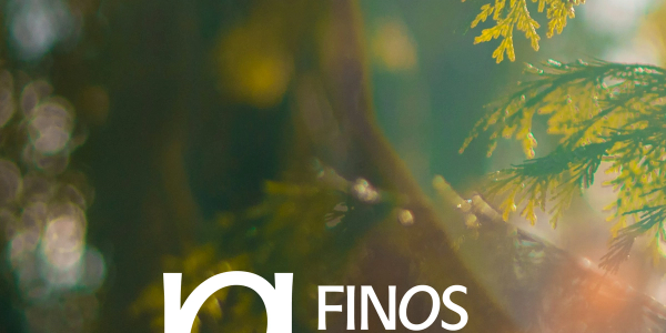 Finos i Dalen – Et ekte nabolag x Nonspace