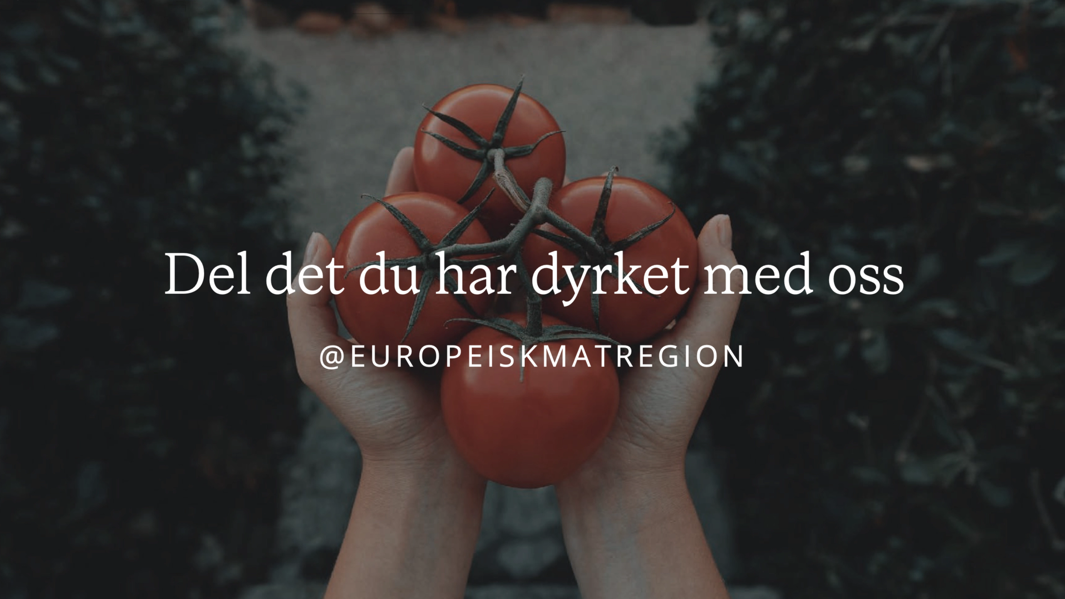 European Region of Gastronomy concept & campaign for Trondheim's Gastronomy by Nonspace