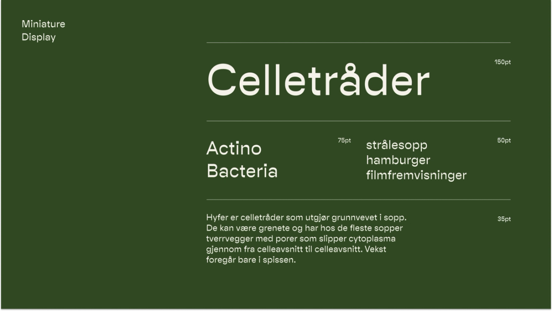 Hyfer merkevarestrategi og nettsideutvikling Nonspace