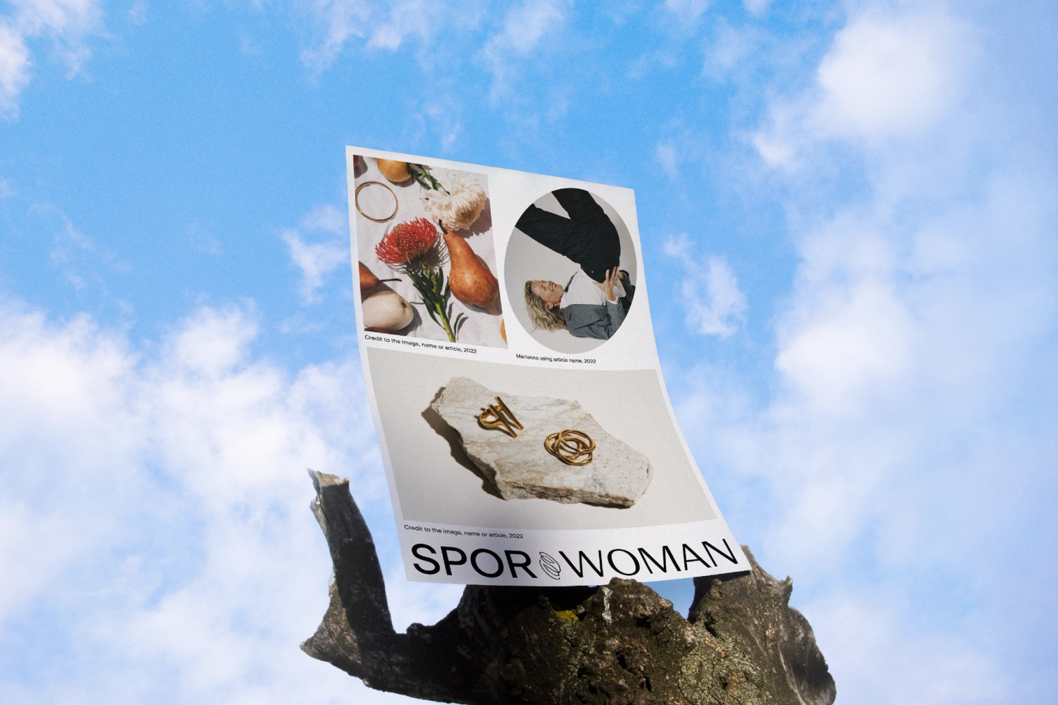 Et magasin for Spor Woman med bilder av frukt, blomster og smykker balanserer på en trestamme mot blå himmel — av Nonspace