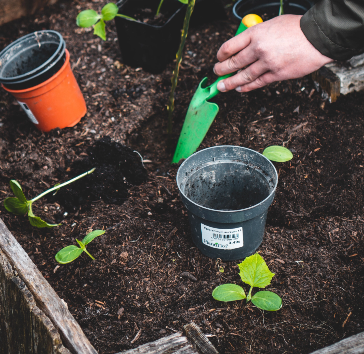En hånd med hagespade planter ut småplanter i et opphøyd bed med jord og tomme plantepotter rundt — av Nonspace
