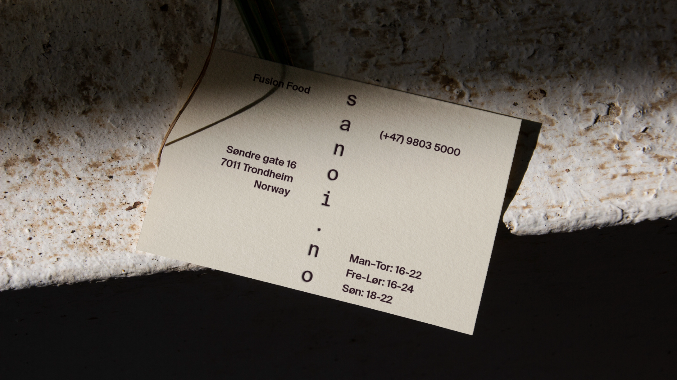 Sanoi new visual identity by Nonspace