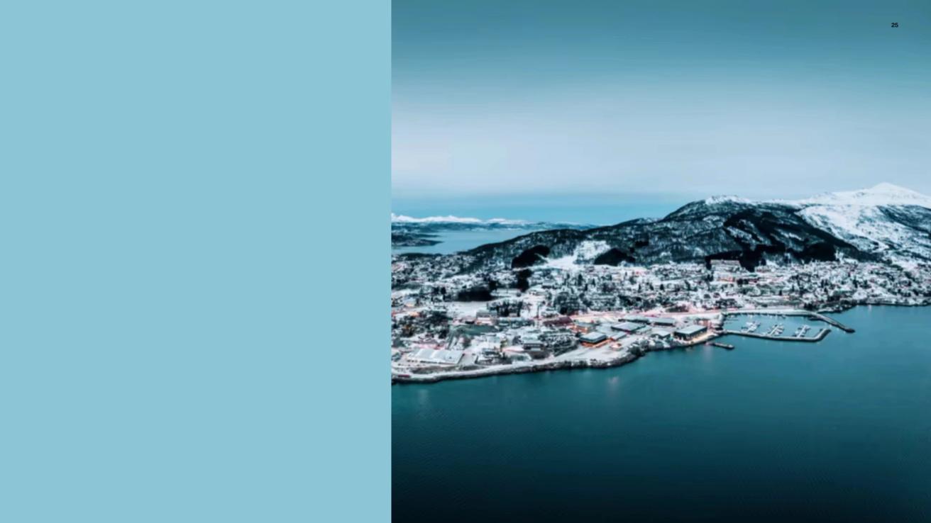 Luftfoto av en snødekt kystby med havn, fjell og fjord i nordisk vinterlys — av Nonspace