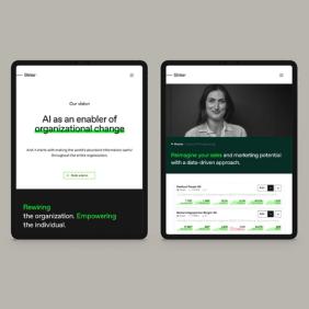 Strise AI-powered compliance platform brand identity and website — Strise, brand and digital by Nonspace