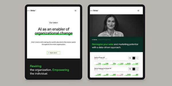 Strise AI-powered compliance platform brand identity and website — Strise, brand and digital by Nonspace
