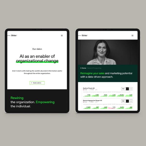 Strise AI-powered compliance platform brand identity and website — Strise, brand and digital by Nonspace