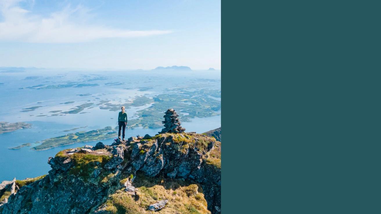 A hiker stands on a rocky mountain summit overlooking a vast fjord landscape with scattered islands — by Nonspace