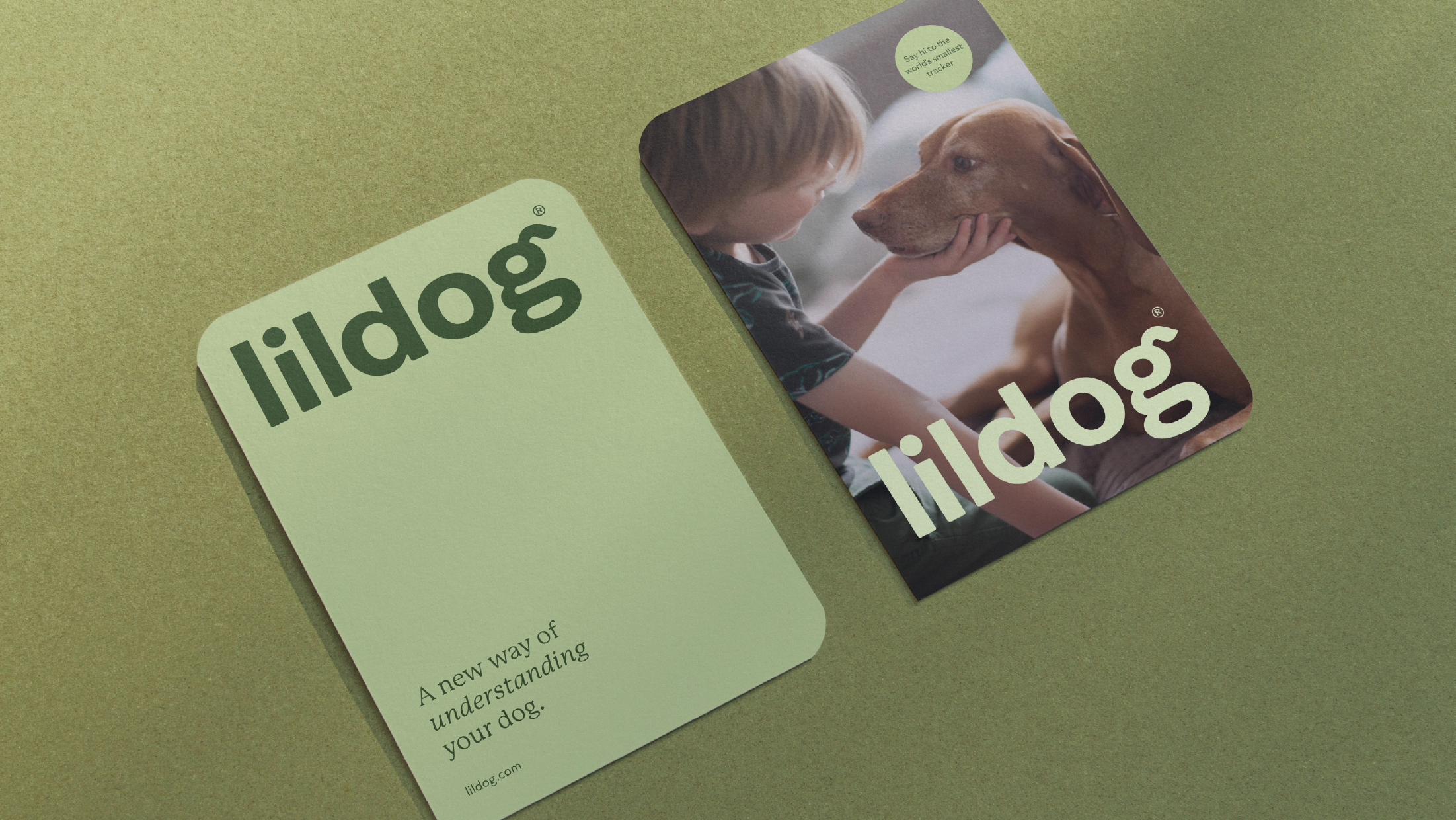 Lildog
