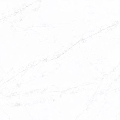 White Swan