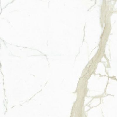 White Calacatta
