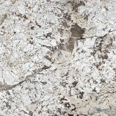 Patagonia White