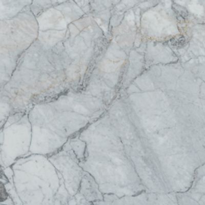Bianco Venatino