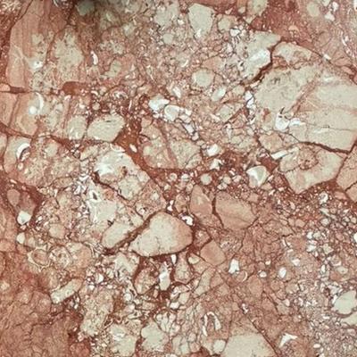 Breccia Pernice