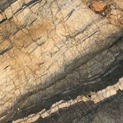 Yellow Rock 