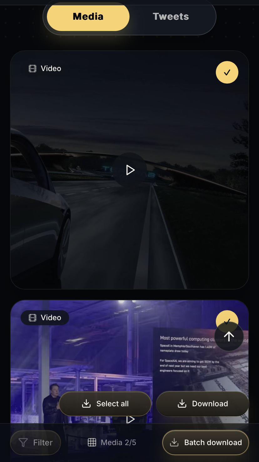 Twitter video downloader on iPhone showing video filtering and batch selection