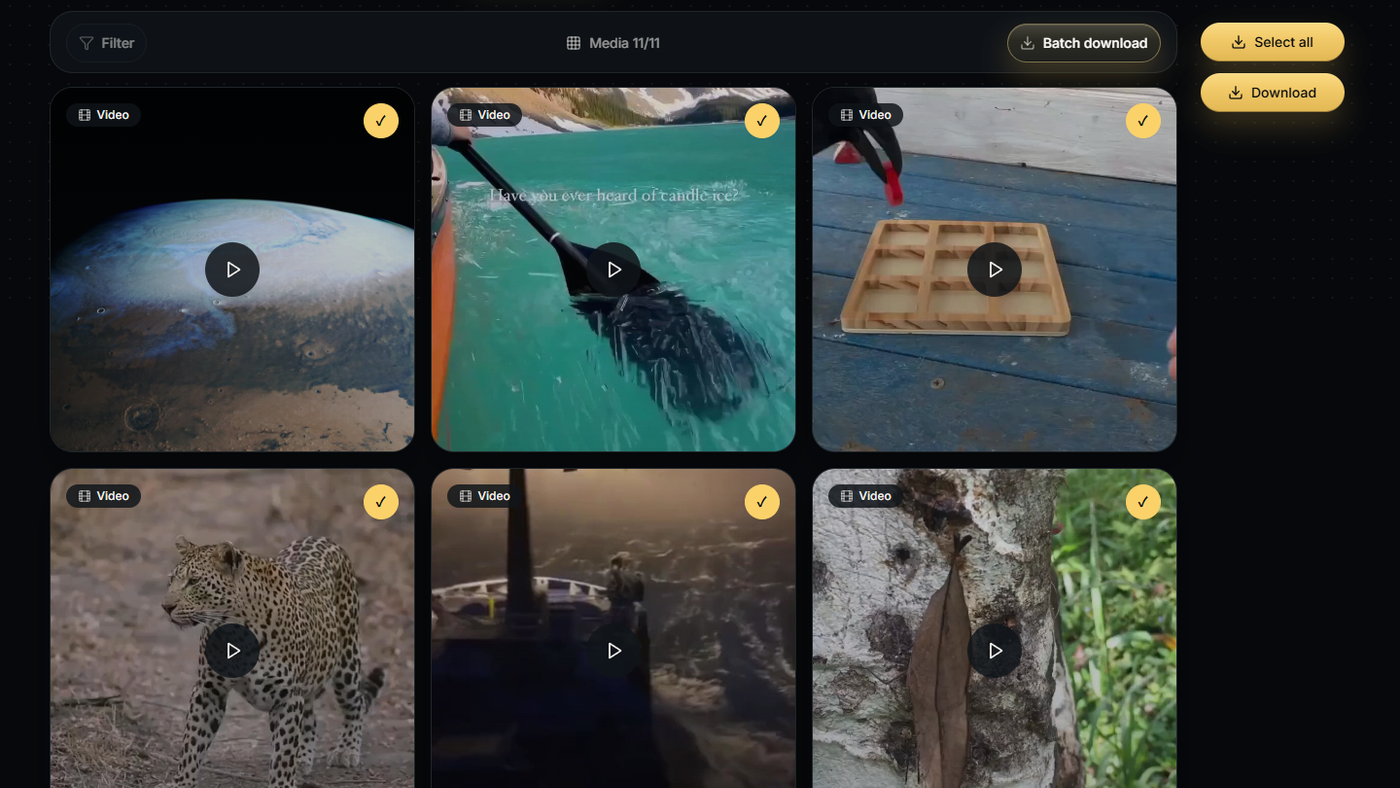 TwitterView Profile Viewer showing selected public videos ready for batch download