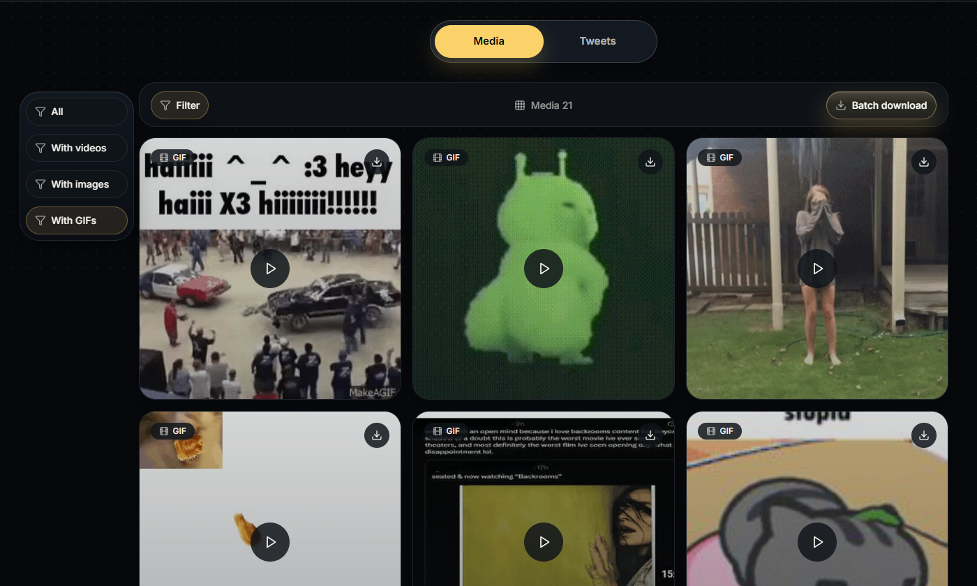 TwitterView homepage showing profile parsing and tweet parsing routes for downloading Twitter GIFs