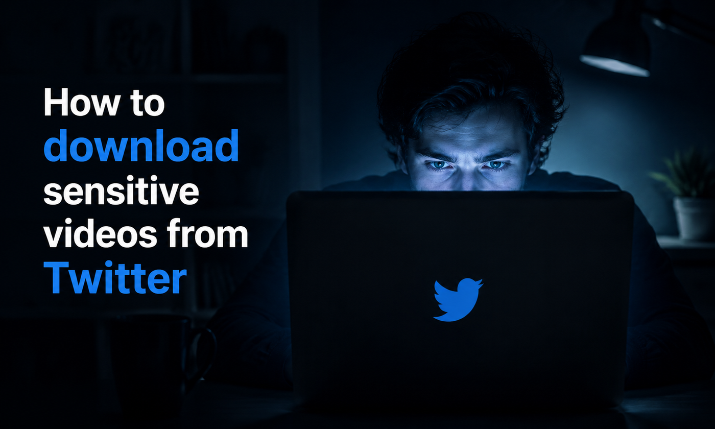 TwitterView Profile Viewer showing public sensitive-media videos selected for batch download