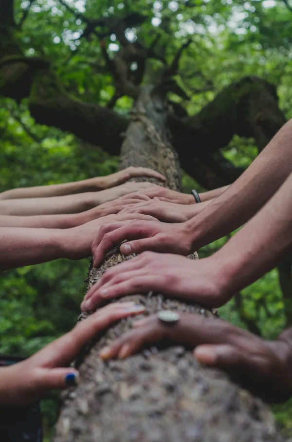 How do you involve patients carefully in a healthcare campaign?