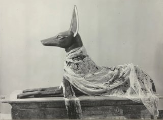 Anubis Shrine