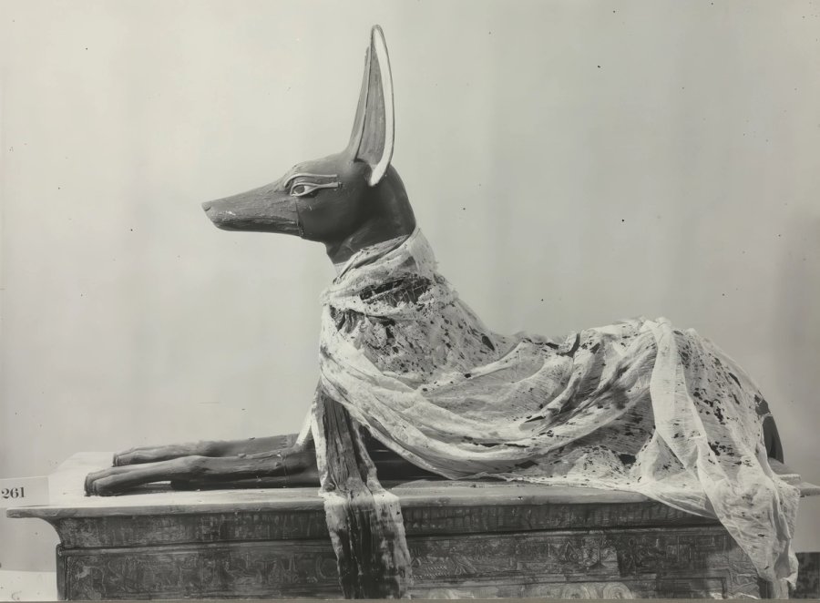 Anubis Shrine