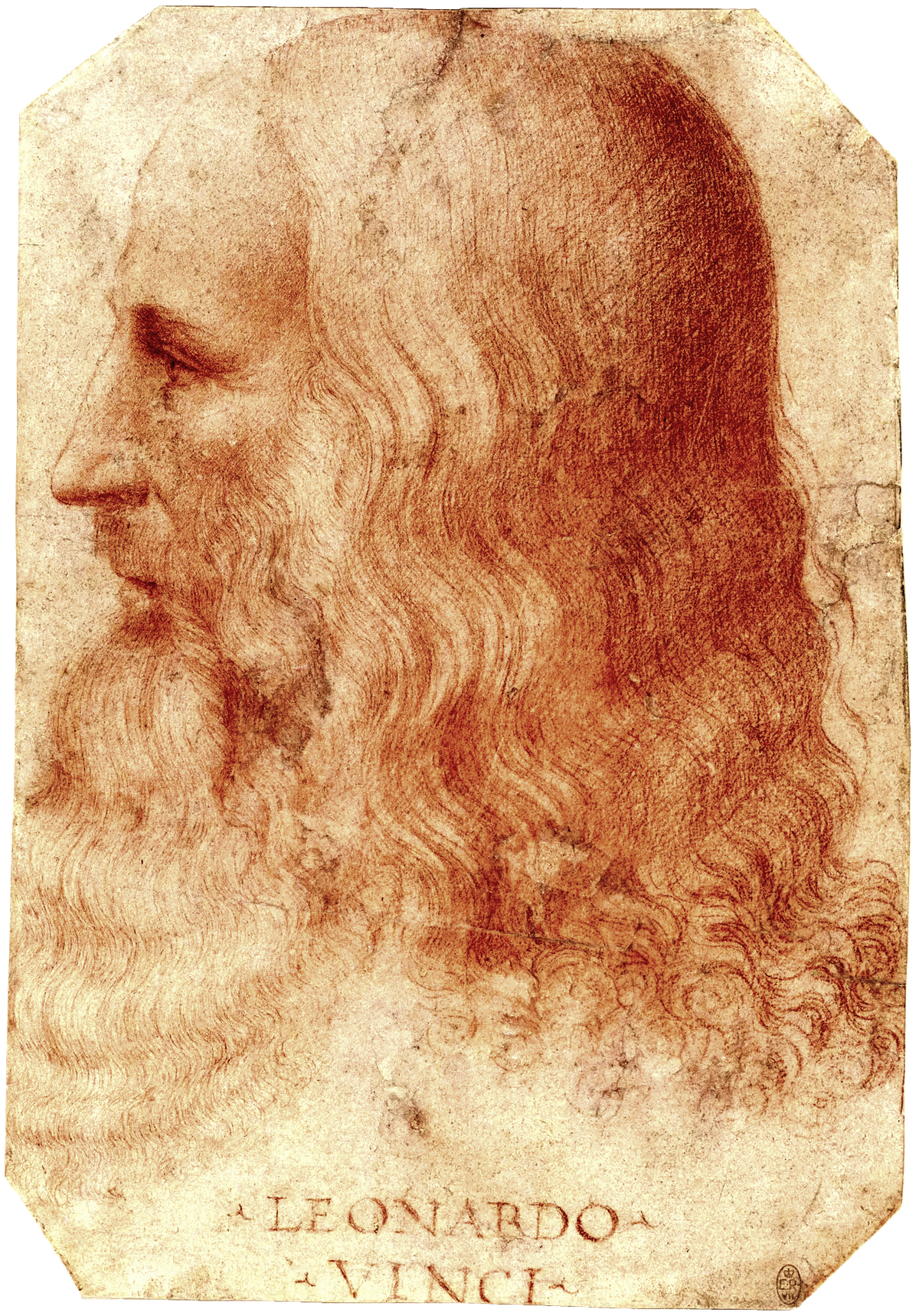 Leonardo Da Vinci