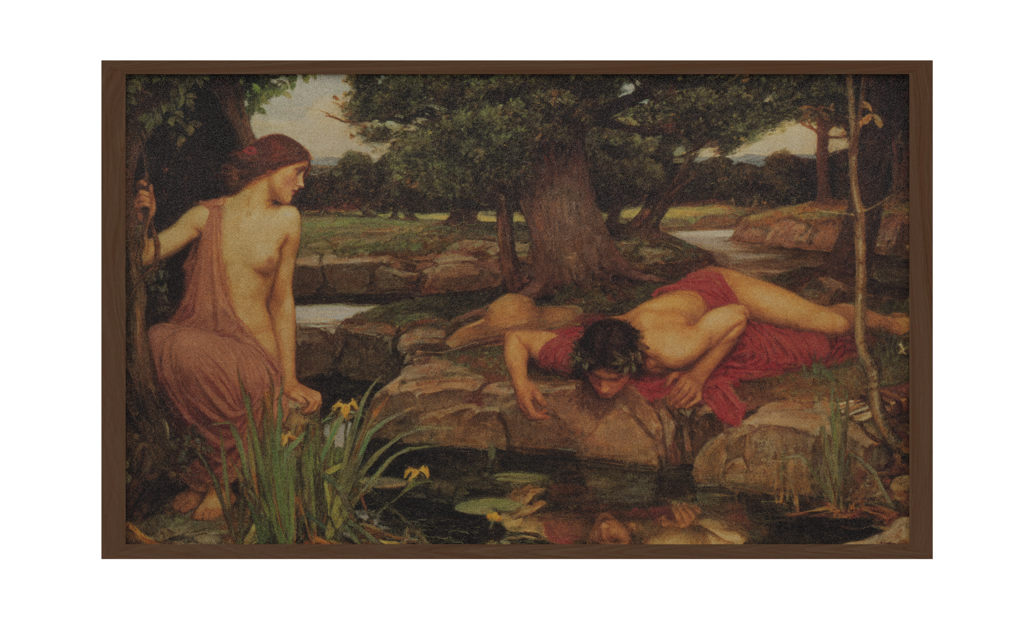Echo and Narcissus