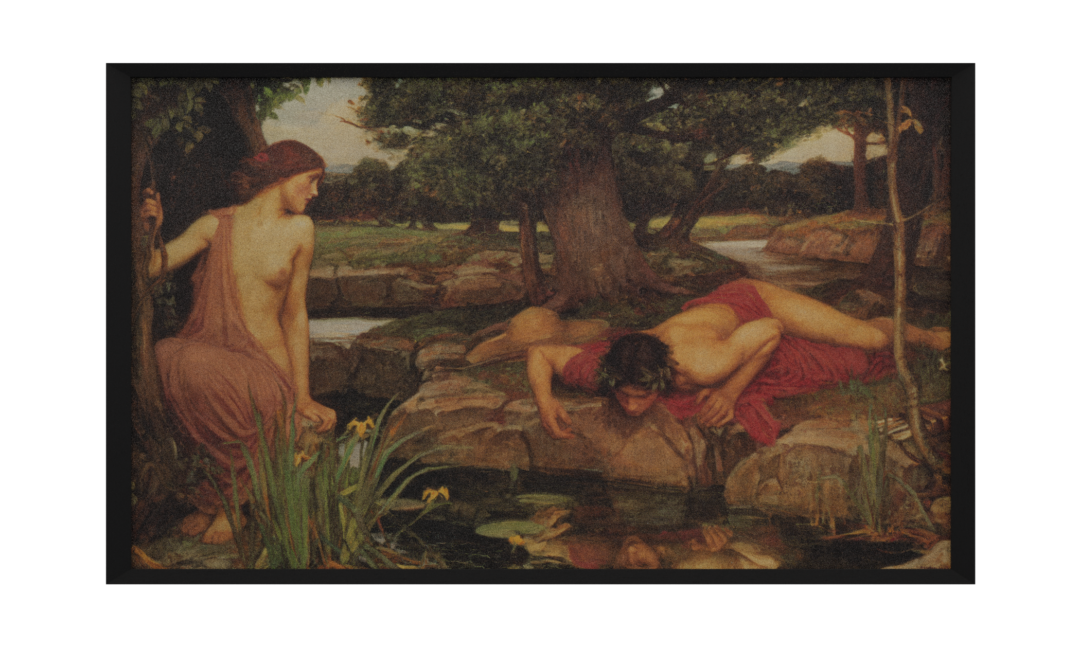 Echo and Narcissus
