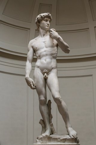 David