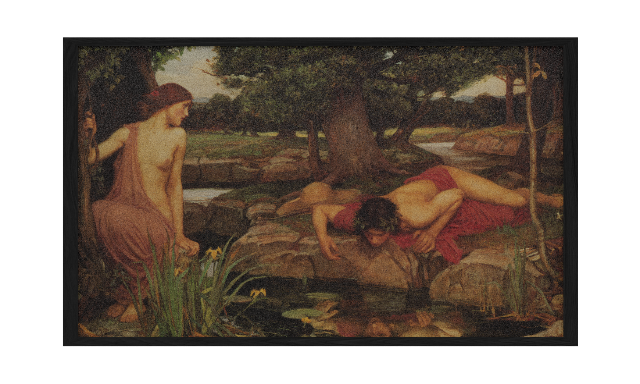 Echo and Narcissus