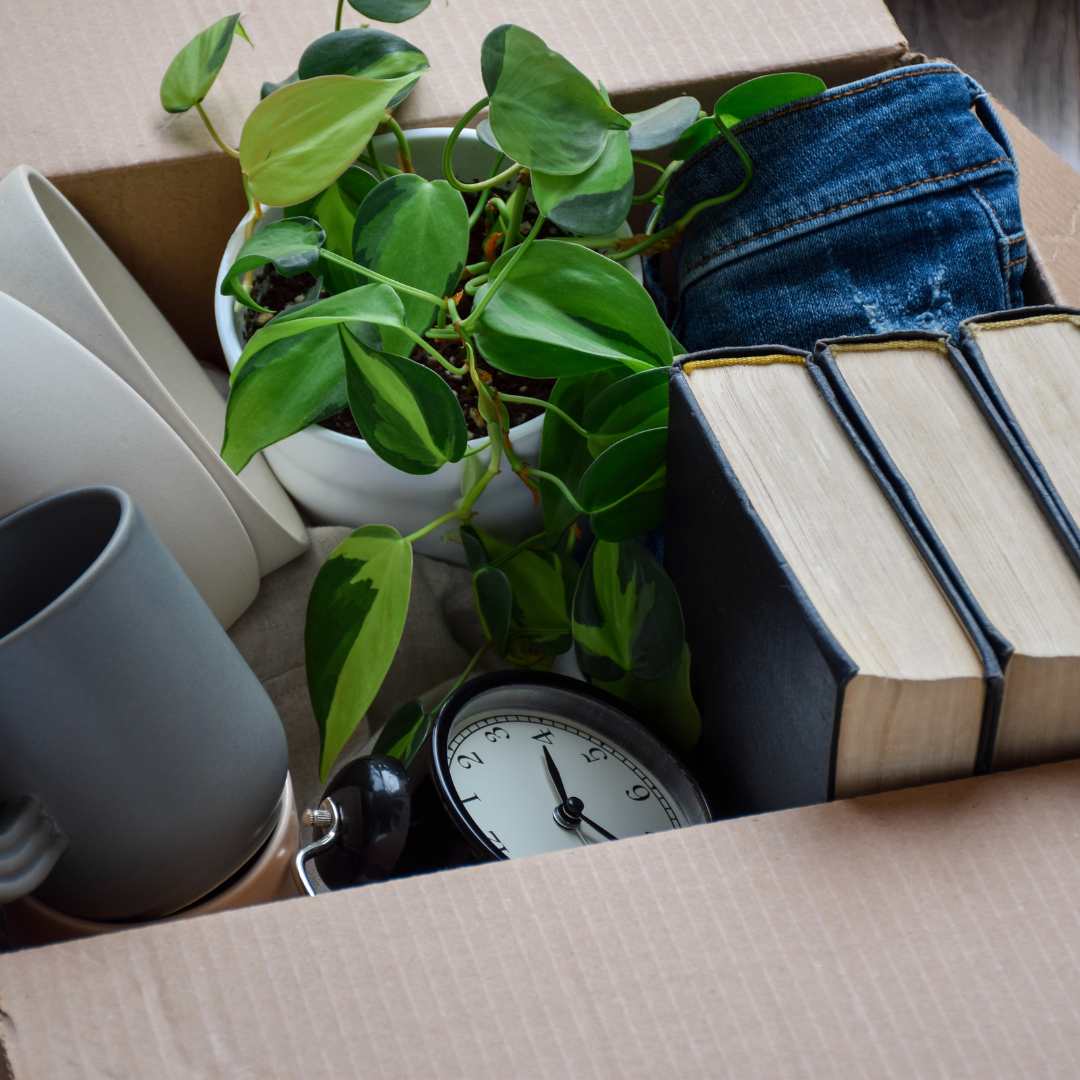 Small Space, Big Potential: How to Thrive After Downsizing