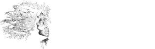Tina logo