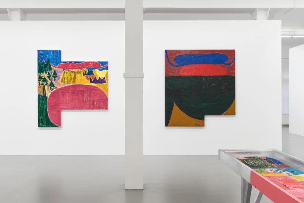 installation view
