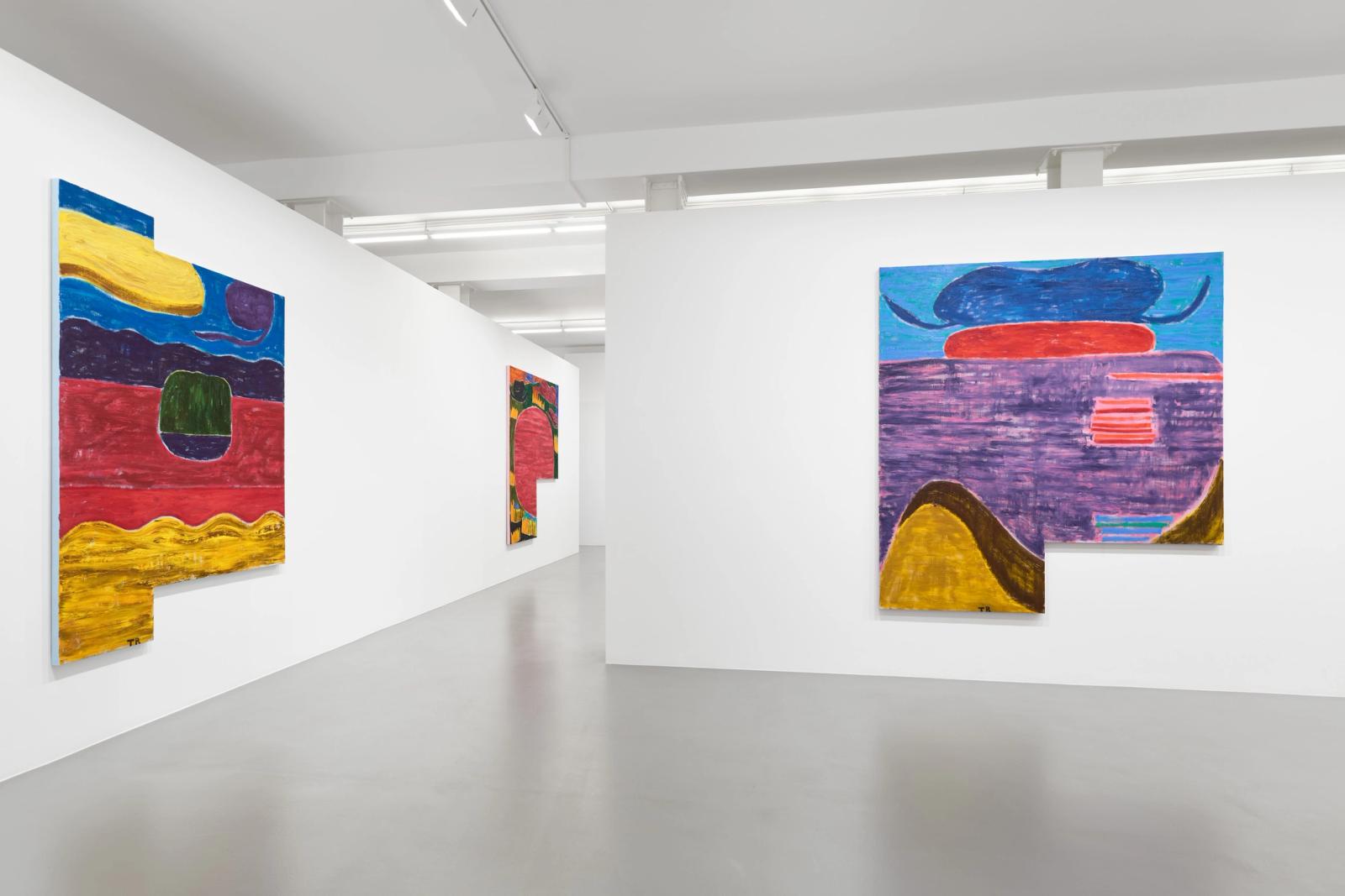 installation view