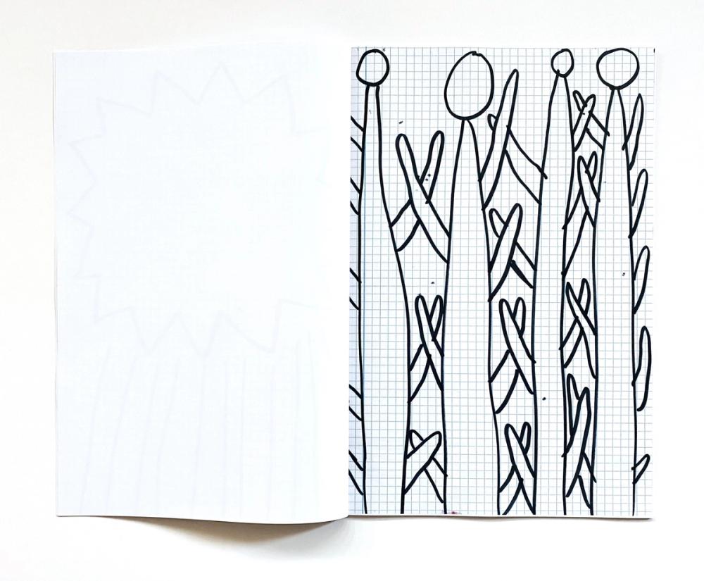 book page