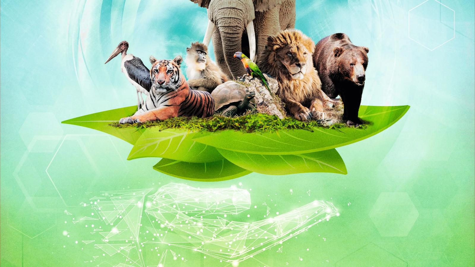 Ark Nova