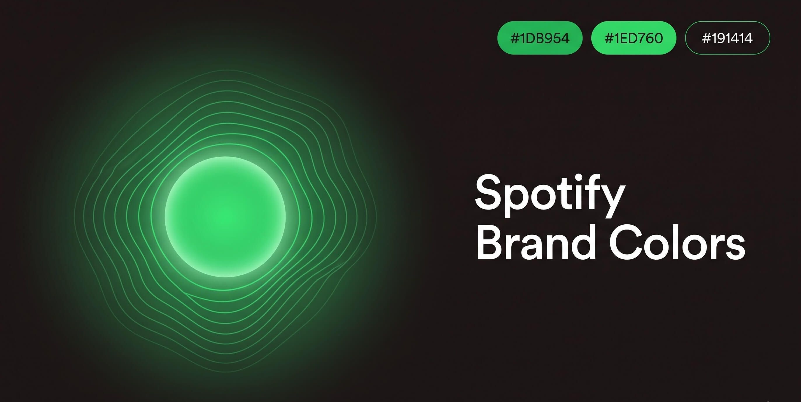 Spotify Green: The Exact Hex Code and How to Use It